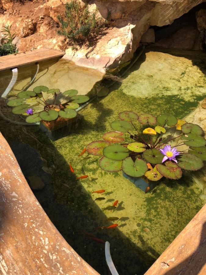Villa Mirascopello 卡斯泰拉马莱 外观 照片